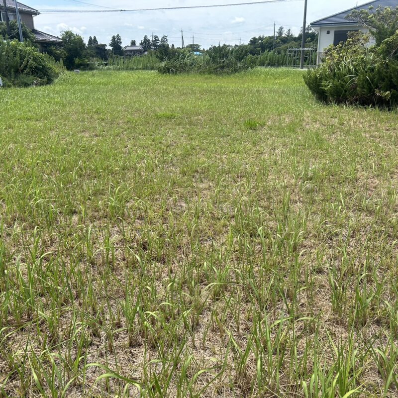 千葉県長生郡白子町関