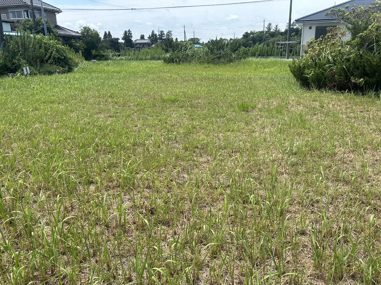 千葉県長生郡白子町関